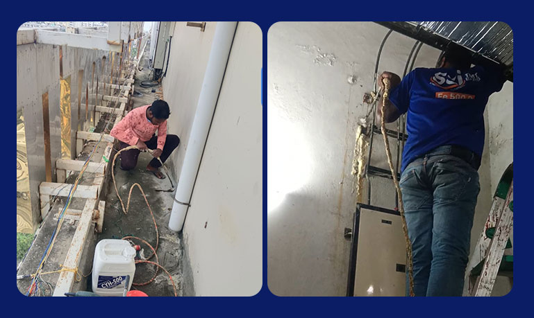 project
